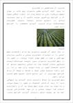 دانلود-مقاله-کاربرد-آب-مغناطیسی-در-کشاورزی--7-ص