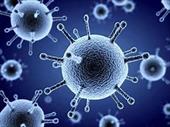 پروژه تغییرات ژنوتیپی ویروس آنفولانزا و اهمیت آن
