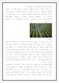 دانلود مقاله  کاربرد آب مغناطیسی در کشاورزی    7  ص